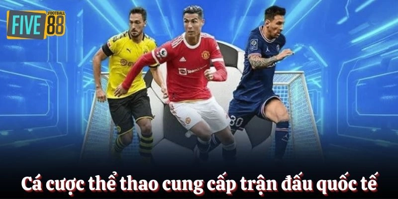 Sảnh cá cược thể thao cung cấp mọi trận đấu quốc tế