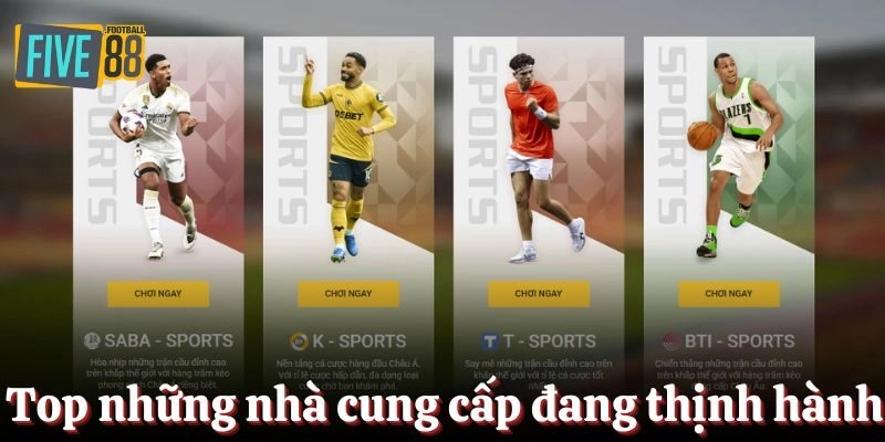 Top những nhà cung cấp đang thịnh hành